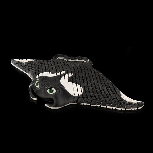 Manny, The Manta Ray