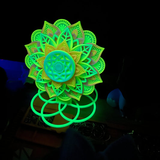 Spinning Mandala