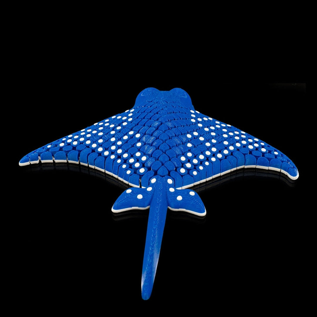Igor, The spotted Eagle Ray