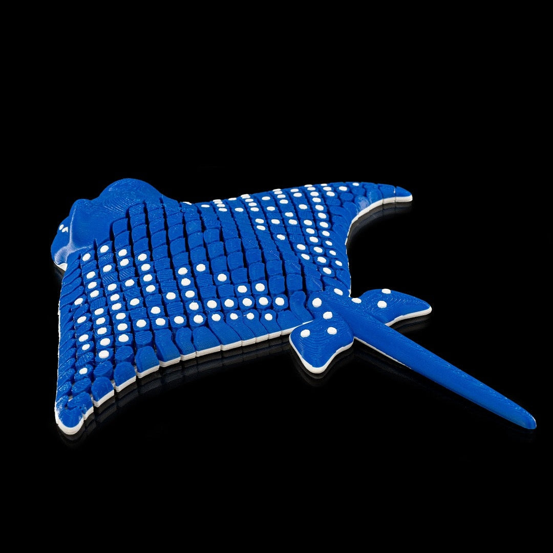 Igor, The spotted Eagle Ray