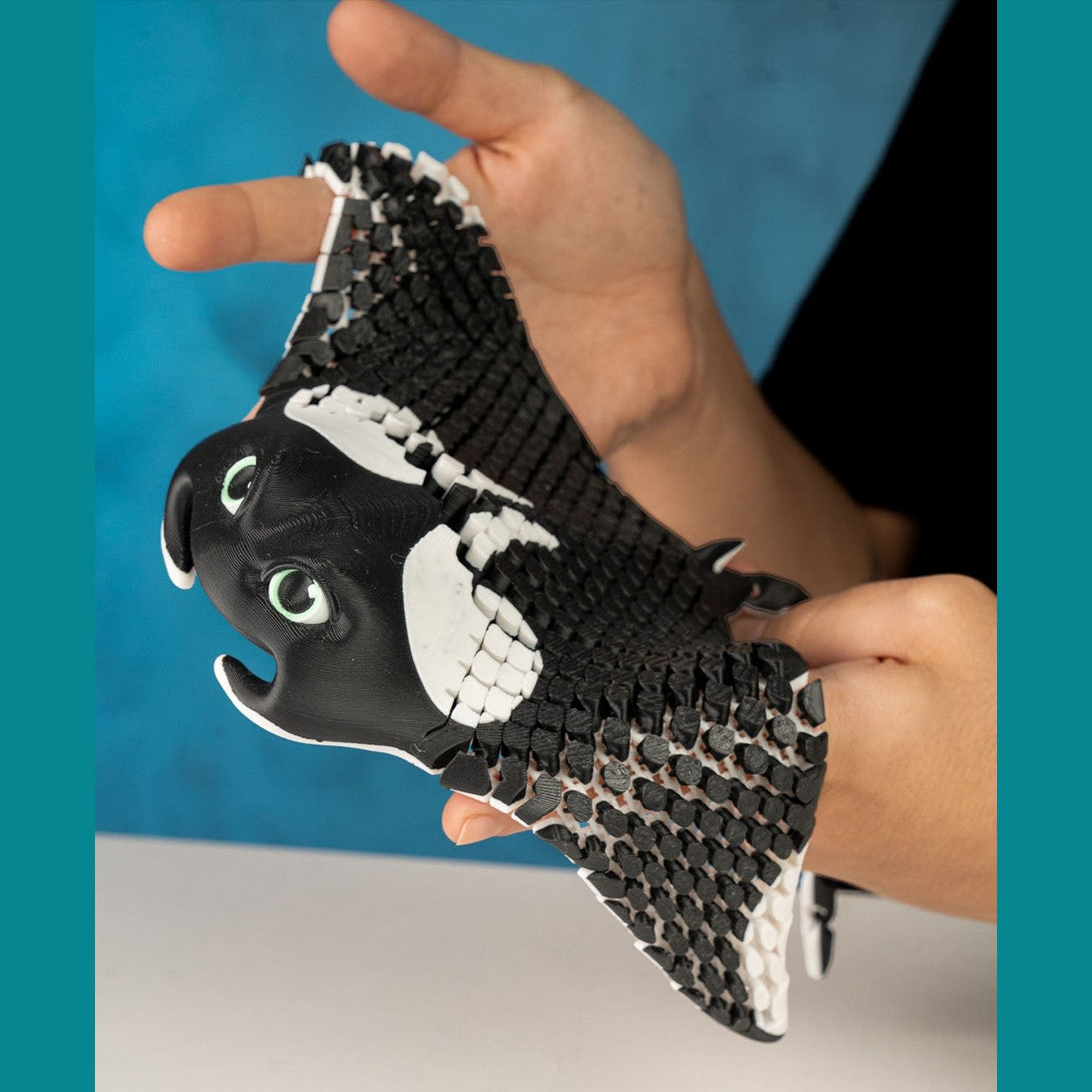 Manny, The Manta Ray
