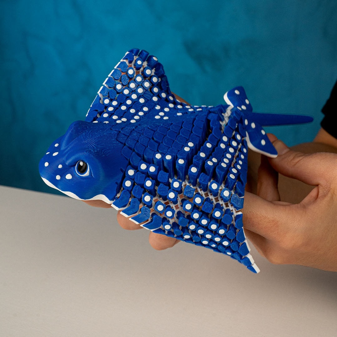 Igor, The spotted Eagle Ray