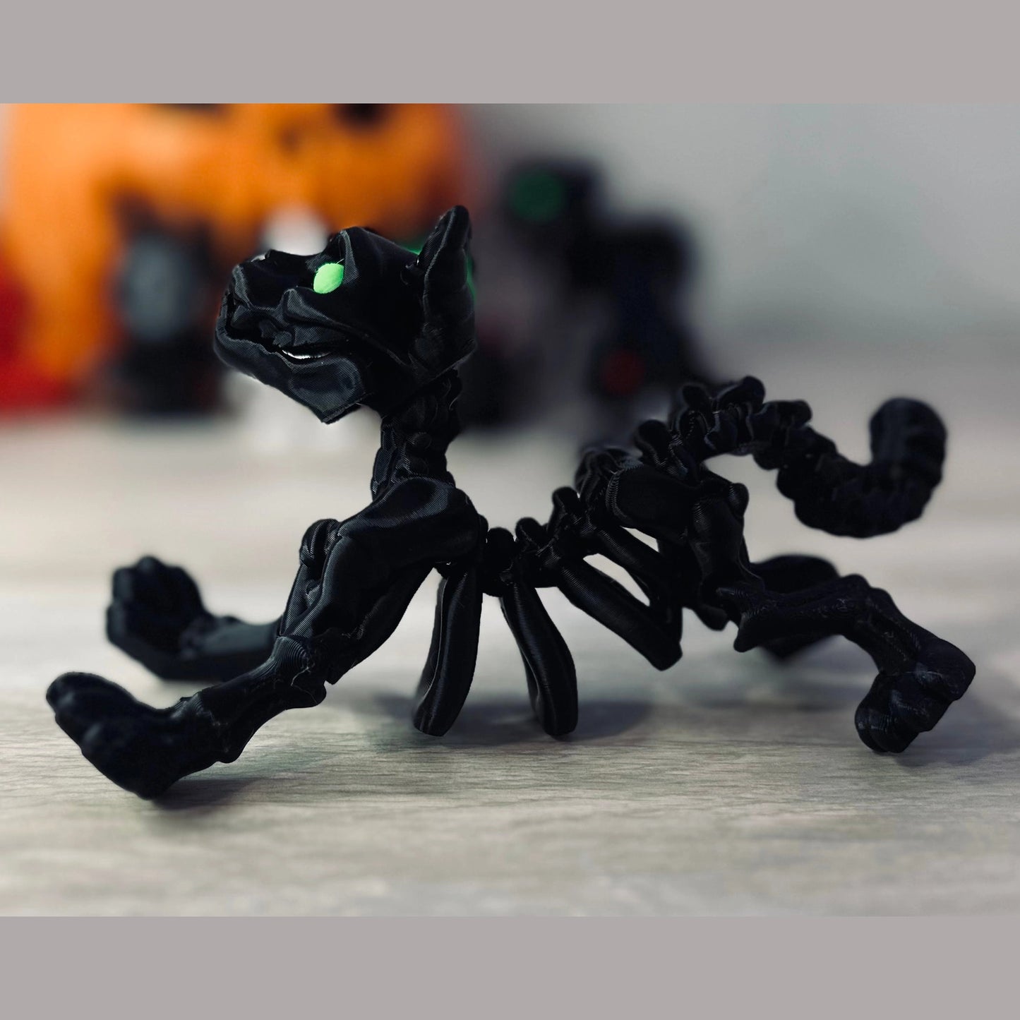 Skeleton cat