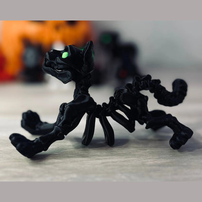 Skeleton cat
