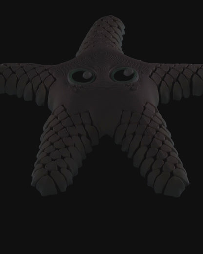 Sandy, The sea star