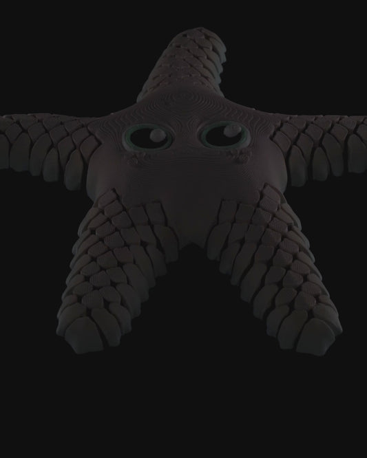 Sandy, The sea star