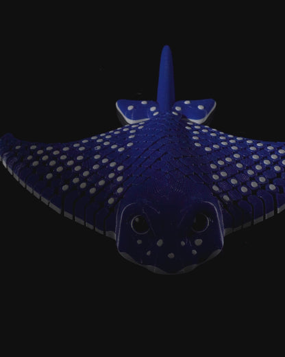 Igor, The spotted Eagle Ray