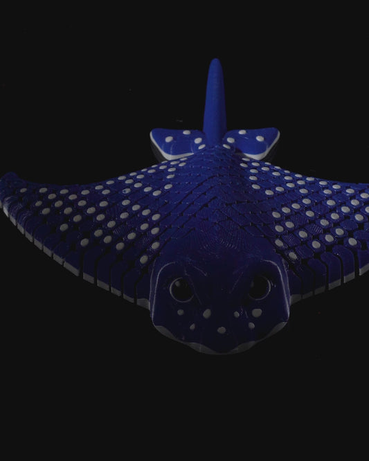 Igor, The spotted Eagle Ray